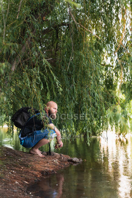 Vista lateral de calvo barbudo macho con mochila sentado en la orilla del lago bajo el árbol verde en el día de verano - foto de stock