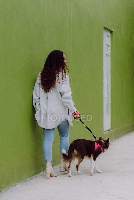 На задньому плані жінка-власник ходить з прикордонником Коллі собакою вздовж вологого тротуару в місті. — стокове фото