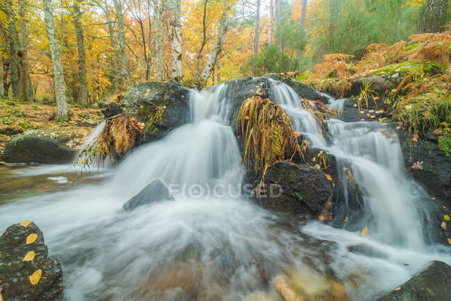 Vue pittoresque de la cascade avec de l'eau mousseuse entre les rochers avec de la mousse et des arbres dorés à l'automne — Photo de stock