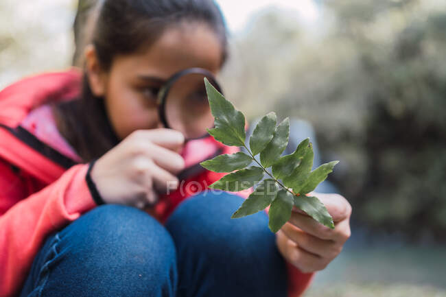 Konzentriertes Kind mit grünem Pflanzenblatt, das durch die Lupe im Wald auf verschwommenem Hintergrund blickt — Stockfoto