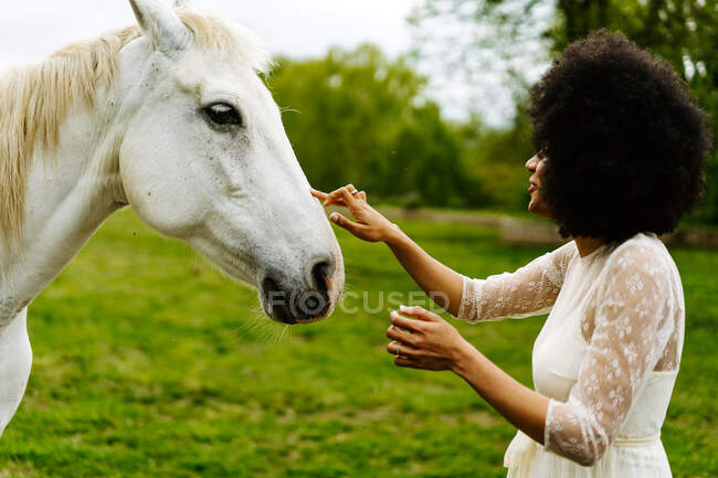 Sonriente hembra afroamericana con pelo afro rizado y vestido blanco acariciando caballo gris juntos en prado en el campo - foto de stock