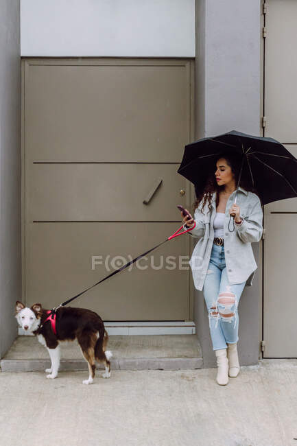Proprietário feminino com Border Collie cão de pé sob guarda-chuva na cidade e navegando telefone celular no dia chuvoso — Fotografia de Stock