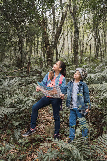 Этническая девушка с бумажным гидом смотрит в сторону брата с биноклем среди папоротников растений в летних лесах — стоковое фото