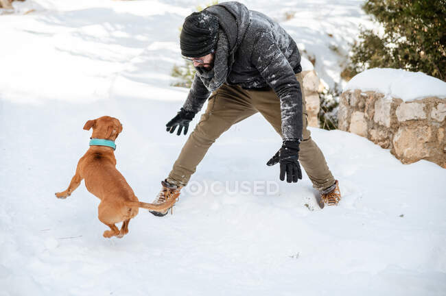 Мужчина в теплой одежде играет с милой собакой в снежном парке зимой — стоковое фото