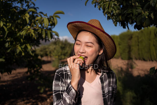 Granjero femenino étnico encantado con sombrero de paja y camisa a cuadros comiendo manzana fresca sabrosa mientras está parado en el huerto en el campo en el día soleado - foto de stock
