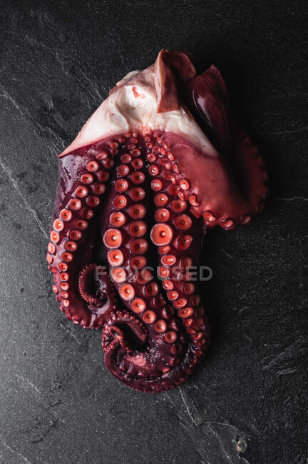 Gros plan à angle élevé de tentacules de poulpe frais avec des meuniers rouges placés sur une table sombre — Photo de stock