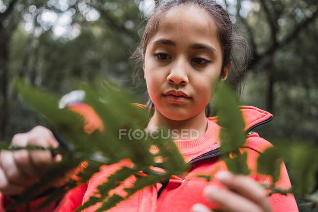 Етнічно орієнтована дитина з зеленим листям рослин, що дивиться через збільшувальне скло в лісі, досліджуючи ліс вдень — стокове фото