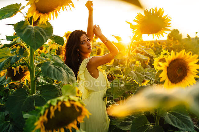 Anmutige junge hispanische Frau in stylischem gelben Kleid steht mit erhobenen Armen inmitten blühender Sonnenblumen auf einem Feld in einem sonnigen Sommertag und blickt in die Kamera — Stockfoto