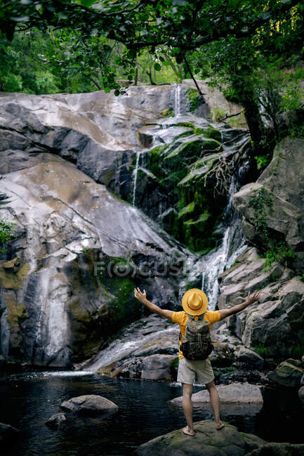 Vista posterior de un excursionista masculino irreconocible parado en la roca y admirando la cascada en el bosque con los brazos abiertos - foto de stock