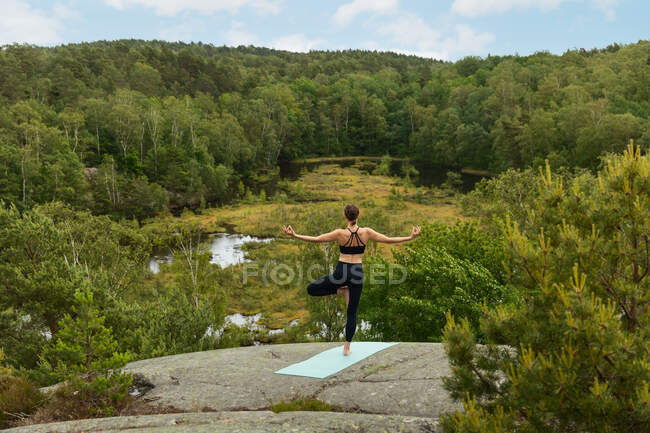 Back view of anonymous woman gesturing gyan mudra and meditating in Tree pose on stone in summer in countryside — Stock Photo