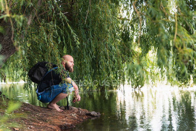 Vista lateral de calvo barbudo macho con mochila sentado en la orilla del lago bajo el árbol verde en el día de verano - foto de stock