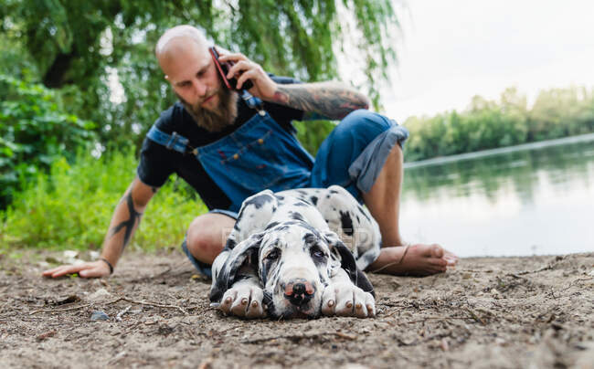 Bald male with beard in casual outfit sitting with obedient spotted Great Dane puppy on lake with green trees on summer day while talking on phone — Stock Photo