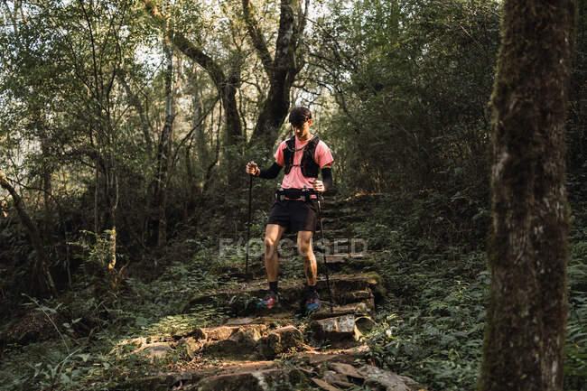 Man traveler with trekking poles walking up old stone stairs in jungles — Stock Photo