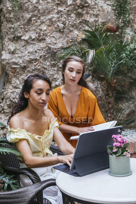 Mujeres freelancers multirraciales sentadas a la mesa en una cafetería tropical y trabajando en un proyecto mientras teclean en el teclado de la tableta - foto de stock
