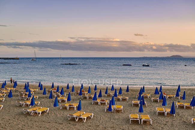 Righe di sedie a sdraio vuote e ombrelloni ripiegati situati sulla spiaggia sabbiosa vicino al mare ondulato al tramonto a Fuerteventura, Spagna — Foto stock