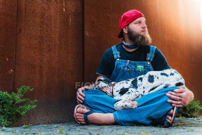 Relaxed bearded man with tattoos wearing denim overall and cap and sitting on cobblestone pavement with cute spotted Great Dane puppy on lap — Stock Photo
