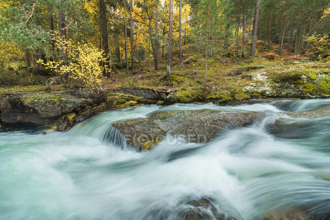 Szenische Ansicht des Berges mit Fluss mit schäumenden Wasserflüssigkeiten auf Steinen zwischen Herbstbäumen in Lozoya, Madrid, Spanien. — Stockfoto
