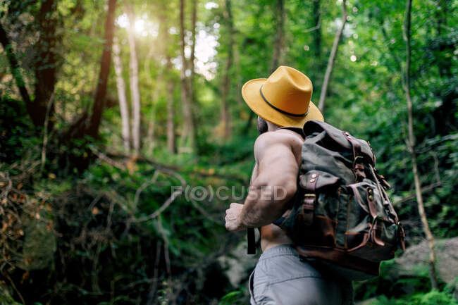 Desde abajo de ajuste sin camisa viajero masculino con mochila y en sombrero de pie en bosques rocosos y mirando hacia otro lado - foto de stock