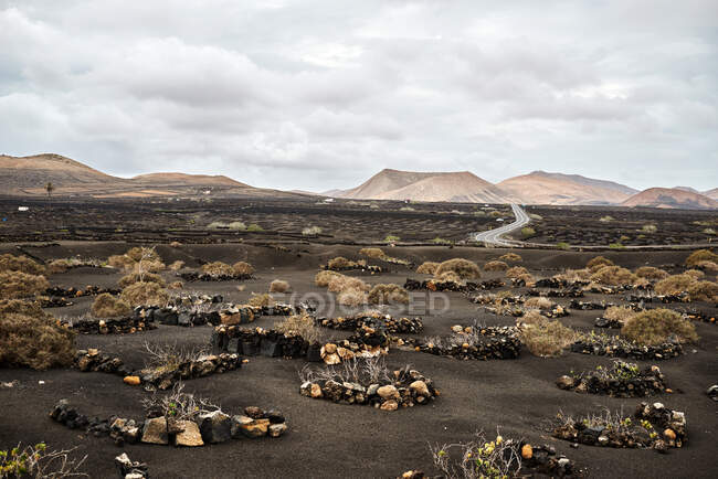 Arbustes et rochers situés sur un sol sec près de la route et des collines dans la vallée sans eau par temps couvert à Fuerteventura, Espagne — Photo de stock