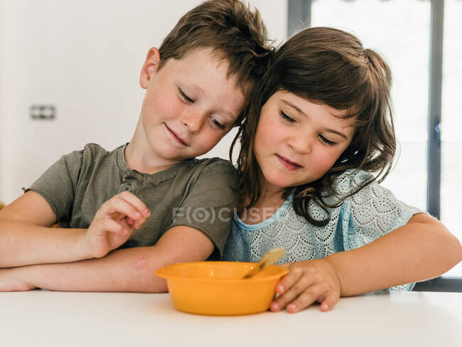 Adorable hermana gemela y hermano sentados en la mesa con plato de comida durante el almuerzo en casa - foto de stock