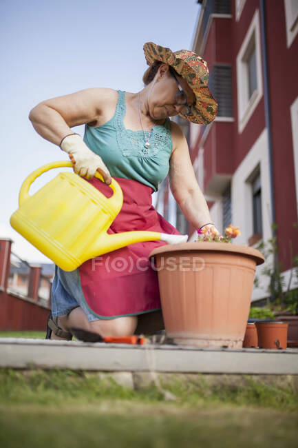 Von unten reife Frau, die an einem sonnigen Tag Blumen gießt — Stockfoto