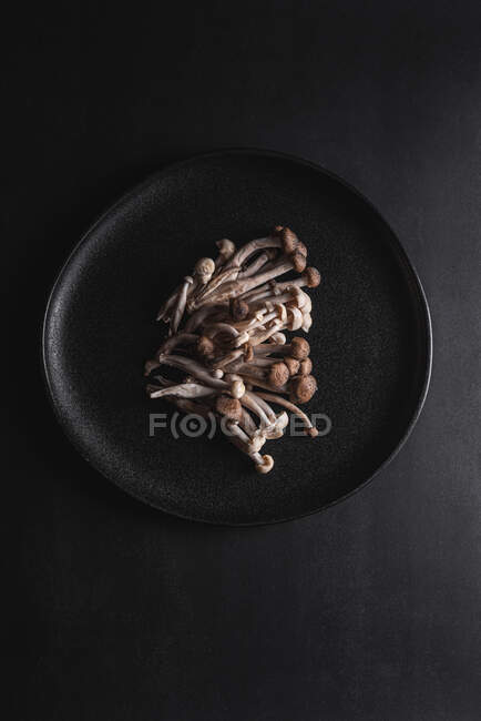 Вид зверху на свіжі гриби Shimeji, подані на чорній тарілці на темному столі в студії — стокове фото