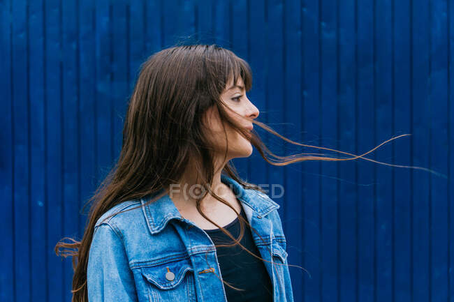 Tranquil hembra con pelo largo y volador marrón y chaqueta de mezclilla mirando hacia otro lado sobre fondo azul en la ciudad - foto de stock