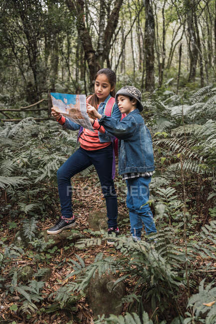 Chica étnica con guía de papel mirando hacia otro lado contra hermano con prismáticos entre las plantas de helecho en los bosques de verano - foto de stock