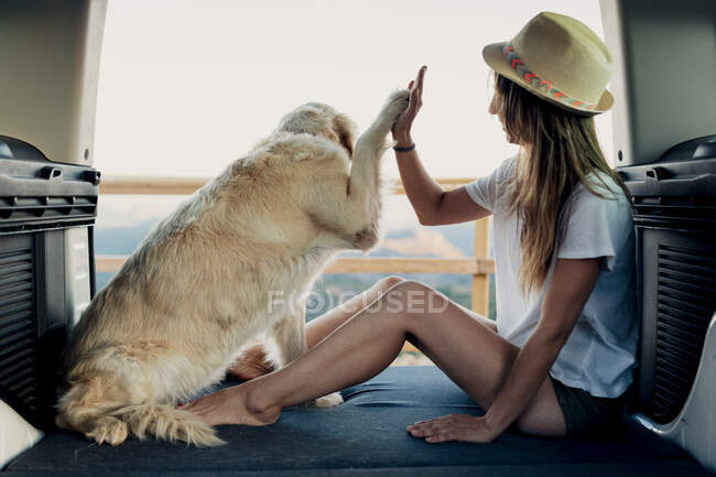 Leale Golden Retriever cane dando alto cinque a piedi nudi donna mentre seduto sul letto all'interno RV durante il viaggio in strada nella natura — Foto stock