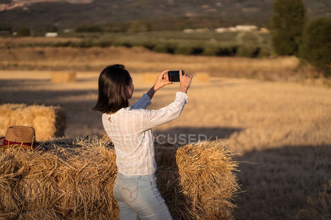 Обратный вид на неузнаваемую женскую такин-фотографию на мобильном телефоне, стоя летом на сухом поле на закате — стоковое фото