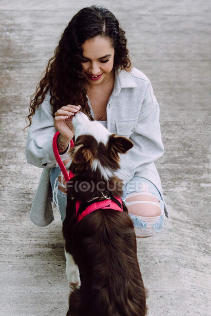 Front view of positive female owner feeding adorable Border Collie dog sitting during training in city street — Stock Photo