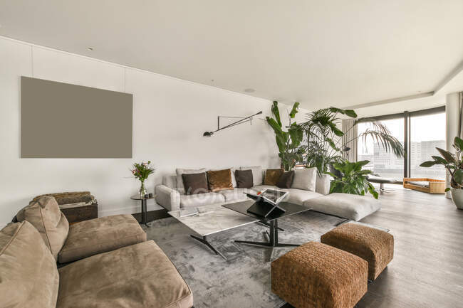 Design de interiores de elegante espaçosa sala de estar com sofás macios decorados com plantas envasadas em apartamento de luxo moderno — Fotografia de Stock