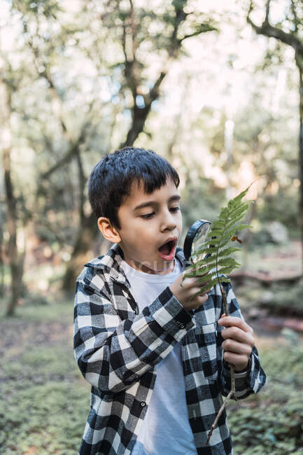 Staunendes ethnisches Kind im karierten Hemd mit offenem Mund studiert grünes Pflanzenblatt mit Lupe im Wald — Stockfoto