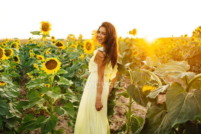 Anmutige junge hispanische Frau in stylischem gelben Kleid steht inmitten blühender Sonnenblumen auf einem Feld in einem sonnigen Sommertag und blickt in die Kamera — Stockfoto
