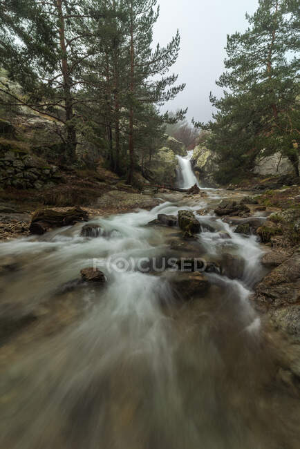 Vue pittoresque de la cascade avec de l'eau mousseuse entre les rochers avec de la mousse et les pins à l'automne — Photo de stock