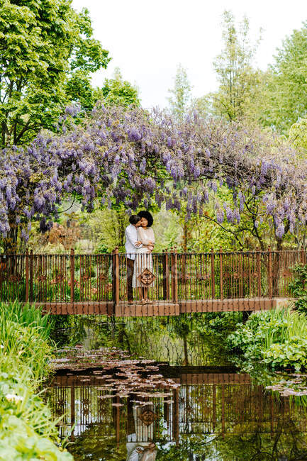 Віддаленій вигляд любого подружжя, що обіймає міст через ставок, стоячи під аркою з квітами вістерії в природному саду. — стокове фото