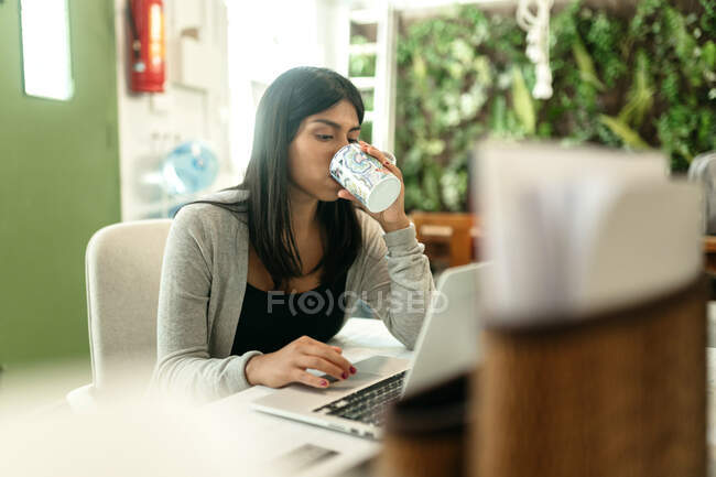 Жінка-покупець п'є напій, сидячи за столом з ноутбуком і вибираючи товари під час онлайн-покупки — стокове фото