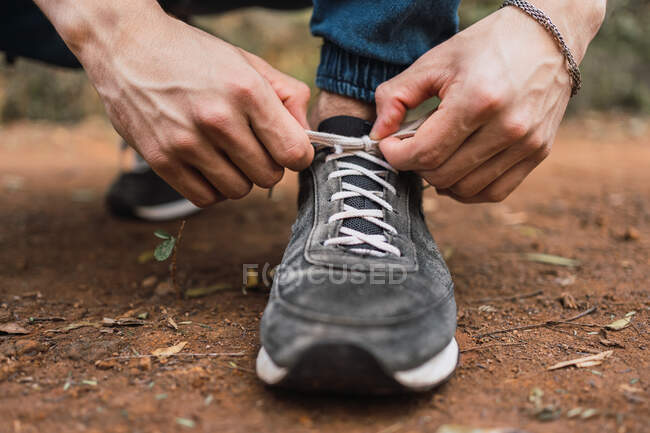 Caminante masculino sin rostro de la cosecha atando cordones de zapatillas grises durante el trekking en bosques - foto de stock