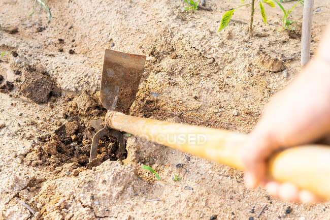 From above of faceless crop farmer loosening soil with hoe while working in garden in countryside — Stock Photo