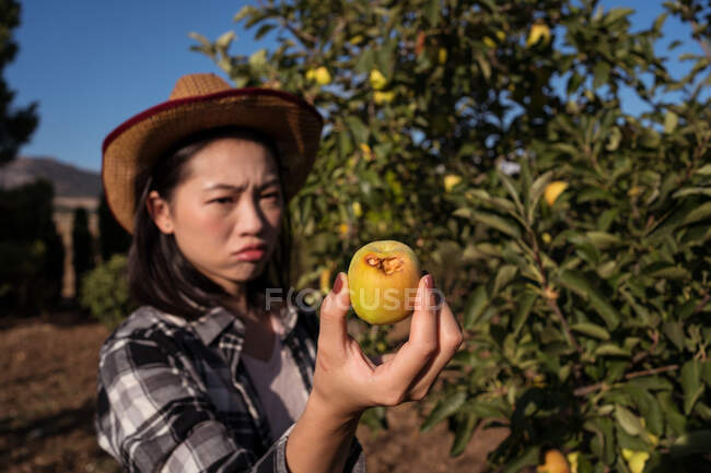Triste agricultora étnica de pie con manzana madura mordida por insectos en el jardín de la aldea - foto de stock