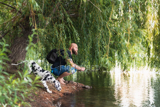 Vista lateral de hombre calvo con barba en ropa casual y mochila sentado con cachorro en la orilla del río bajo el sauce en verano - foto de stock