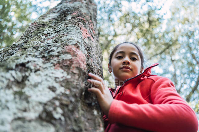 Снизу очаровательный этнический ребенок трогает грубую кору старого ствола дерева с лишайником, глядя на камеру в лесу — стоковое фото