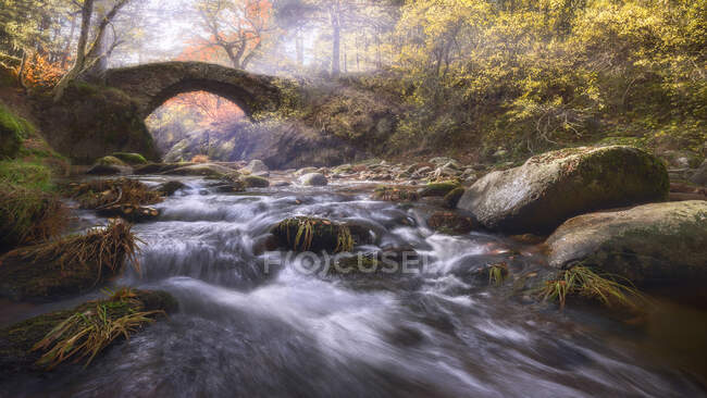 Pintoresca vista del río poco profundo con rápidos fluidos acuáticos bajo el viejo puente entre árboles en otoño en Lozoya, Madrid, España - foto de stock