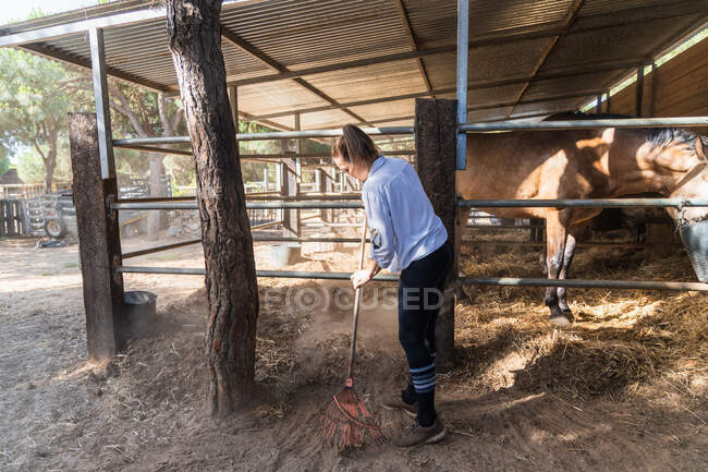 Agricultora ocupada colhendo feno com forquilha enquanto trabalhava em estábulo com cavalos na fazenda no verão — Fotografia de Stock