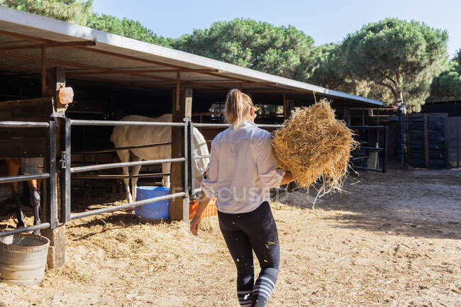 Visão traseira de agricultor fêmea irreconhecível transportando feno para cavalos no estábulo na fazenda — Fotografia de Stock