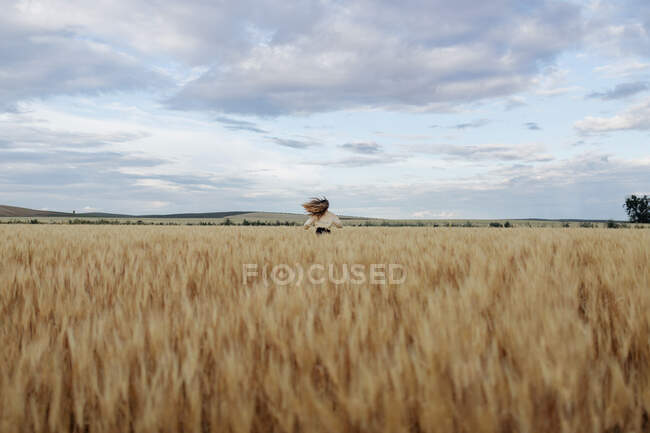 Анонимная женщина с летящими волосами, бегущая по лугу с пшеничными шипами под облачным небом — стоковое фото