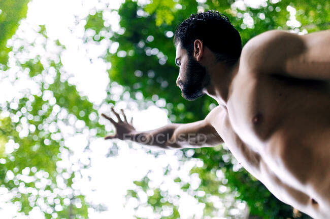 Low angle of fit male with naked torso standing with raised arm in green woods in summer and looking up — Stock Photo