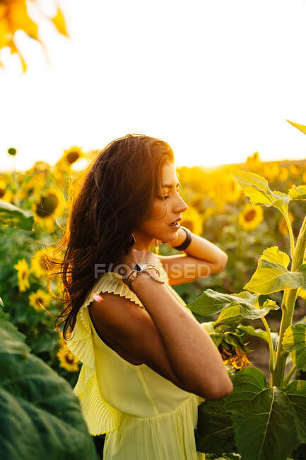 Vista laterale di graziosa giovane donna ispanica in elegante abito giallo in piedi in mezzo a girasoli in fiore nel campo di campagna in soleggiata giornata estiva con gli occhi chiusi — Foto stock