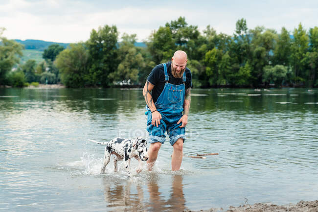 Hombre feliz con barba en ropa casual jugando con el cachorro mientras está de pie en el agua del lago en verano - foto de stock