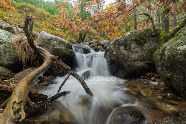 Malerischer Blick auf Kaskade mit schäumender Wasserflüssigkeit zwischen Felsbrocken mit Moos und goldenen Bäumen im Herbst — Stockfoto